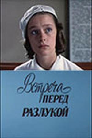 Встреча перед разлукой (1985) постер